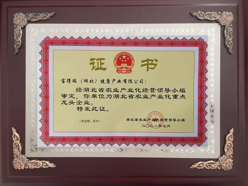 資質榮譽 資質榮譽